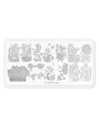 Display per stamping S06
